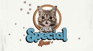 SpecialSpecial